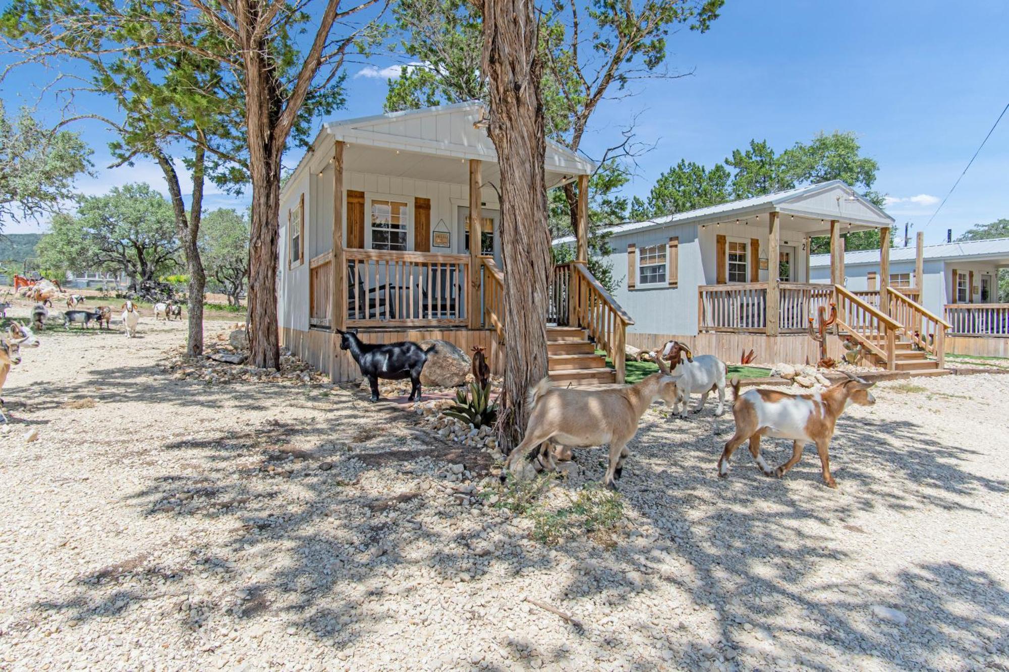 Lucky Star Ranch - Stargazer Hotell Tarpley Eksteriør bilde